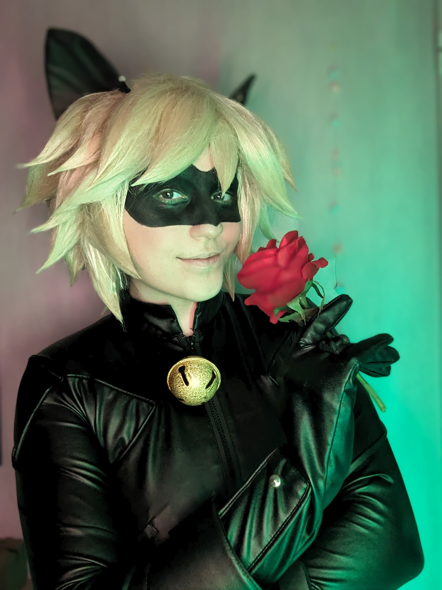 Chat noir — photo 9