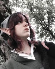 Tp Link (shadows) preview 3