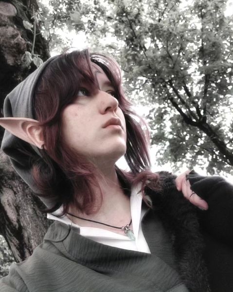 Lhyliart - Tp Link (shadows)