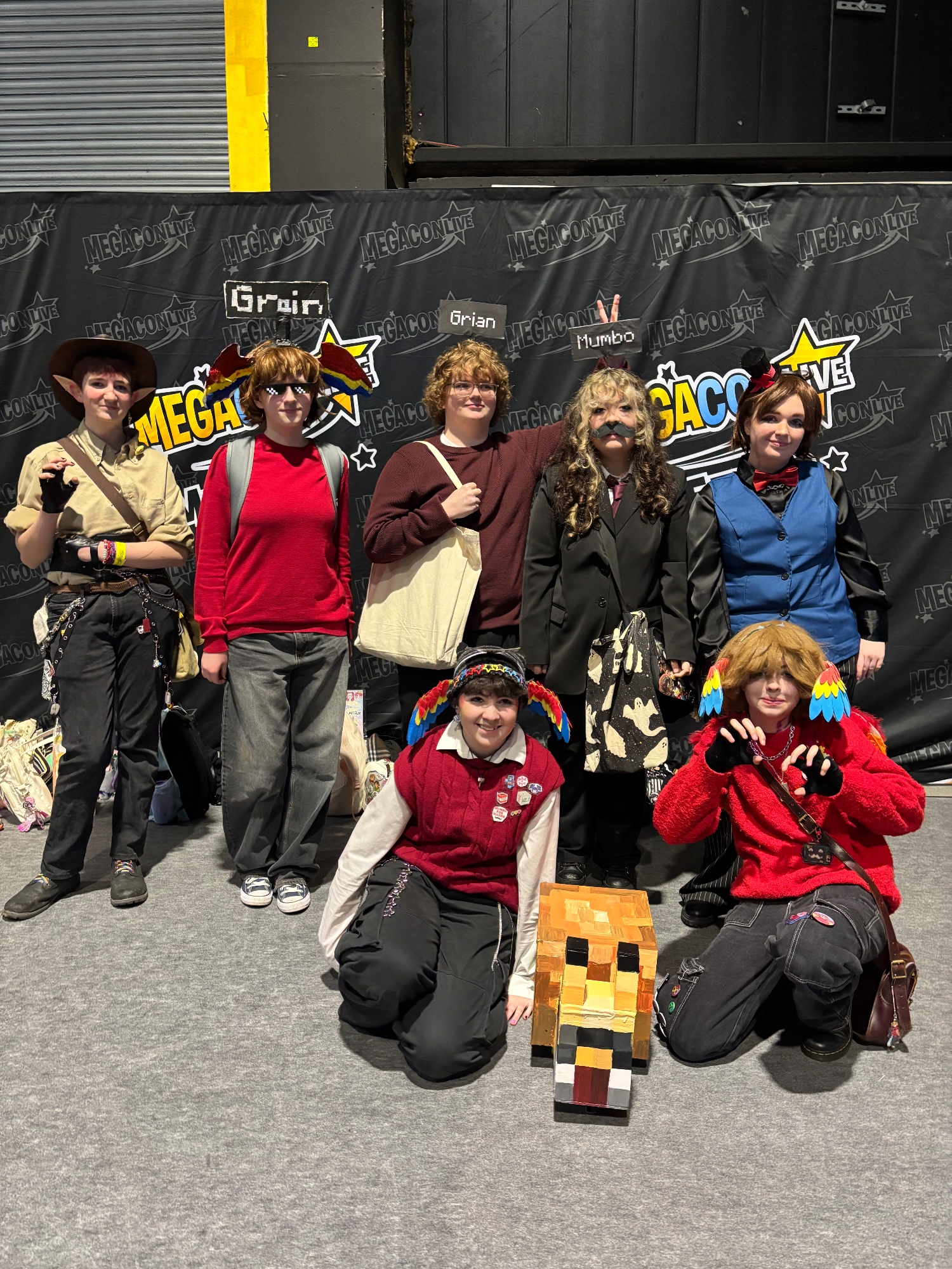 Dublin megacon '26 — photo 11