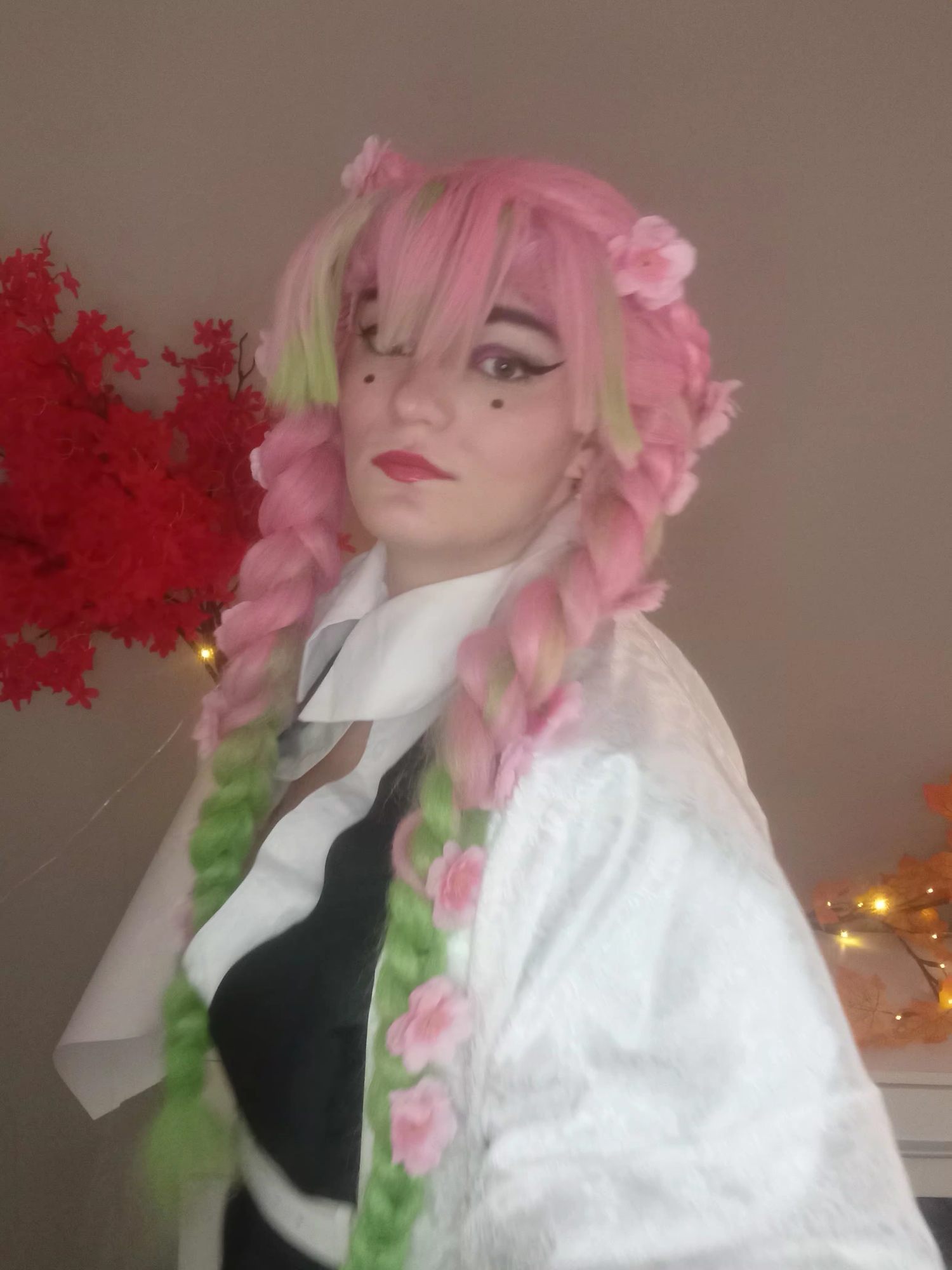 Mitsuri v3 - Photo 12