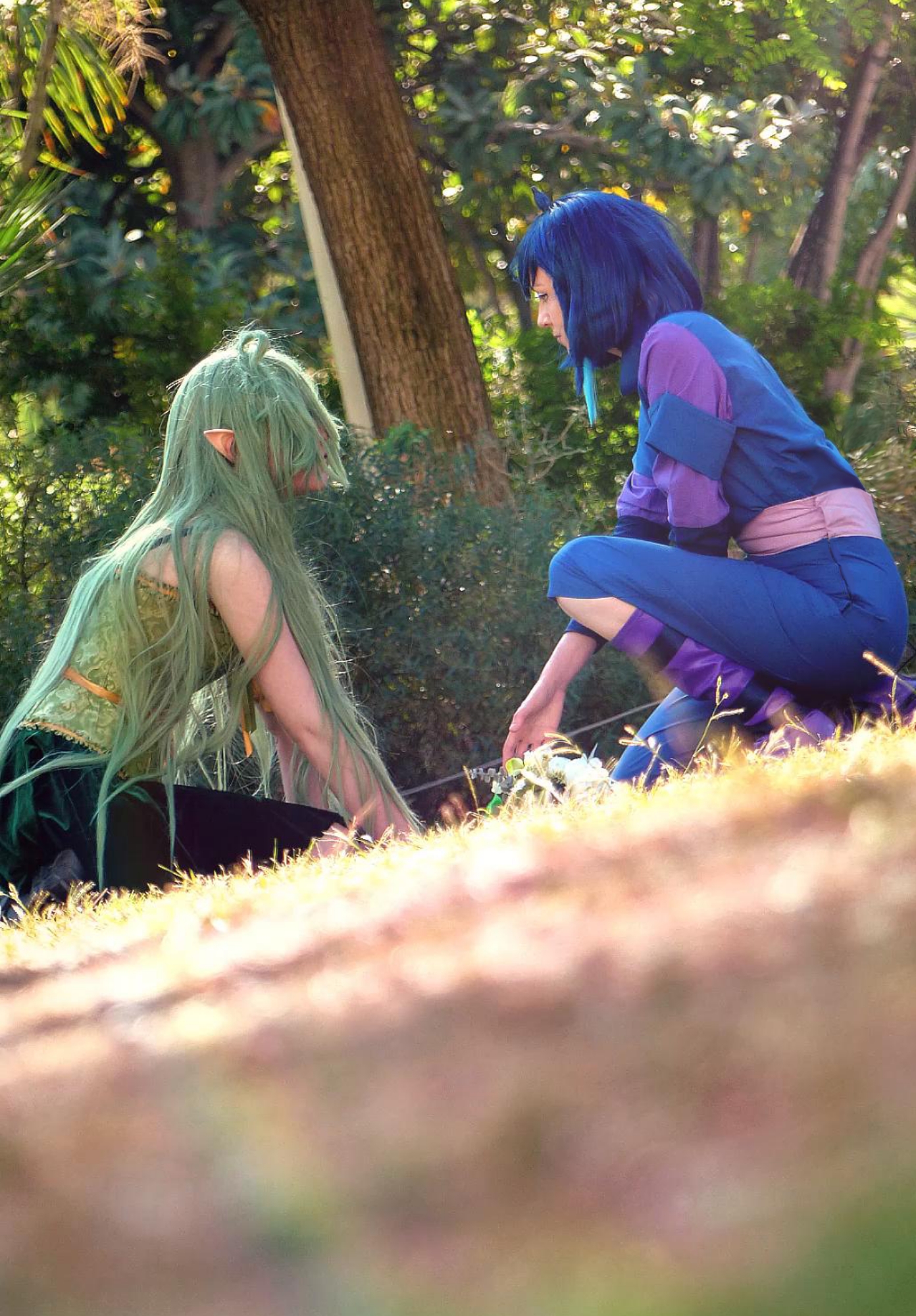 Shedar et Rillette - Photo 8