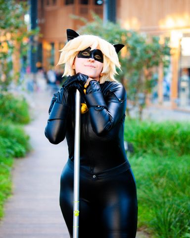 Chat noir