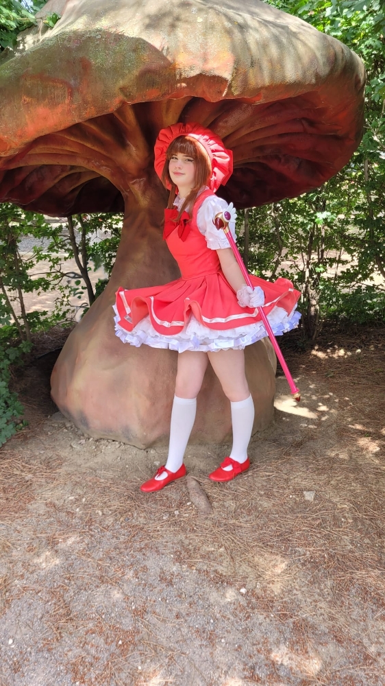 Sakura — photo 18