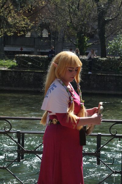 Flazelcos_ - Zelda Skyward Sword 