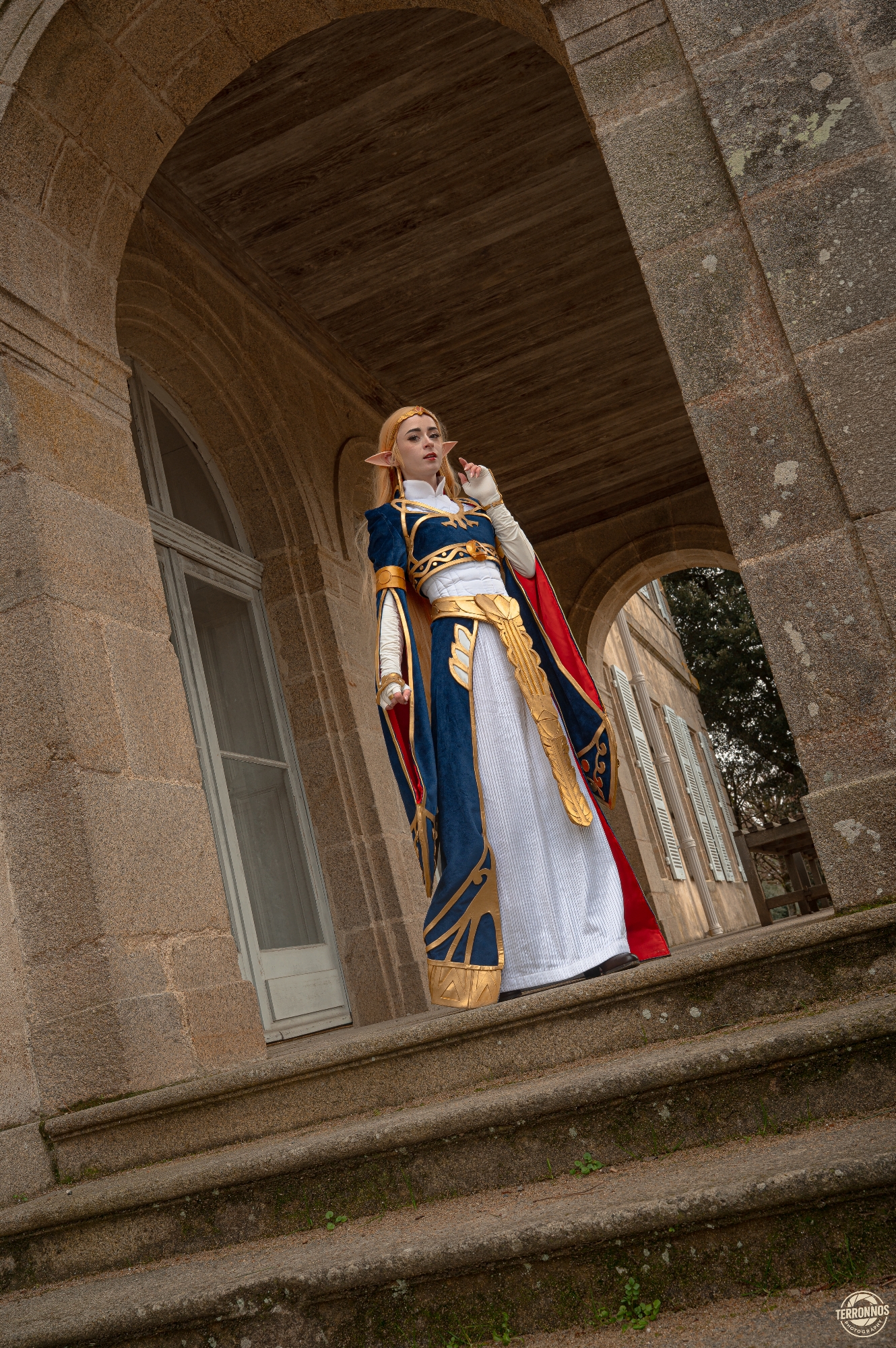 Zelda Royal Dress - Photo 5
