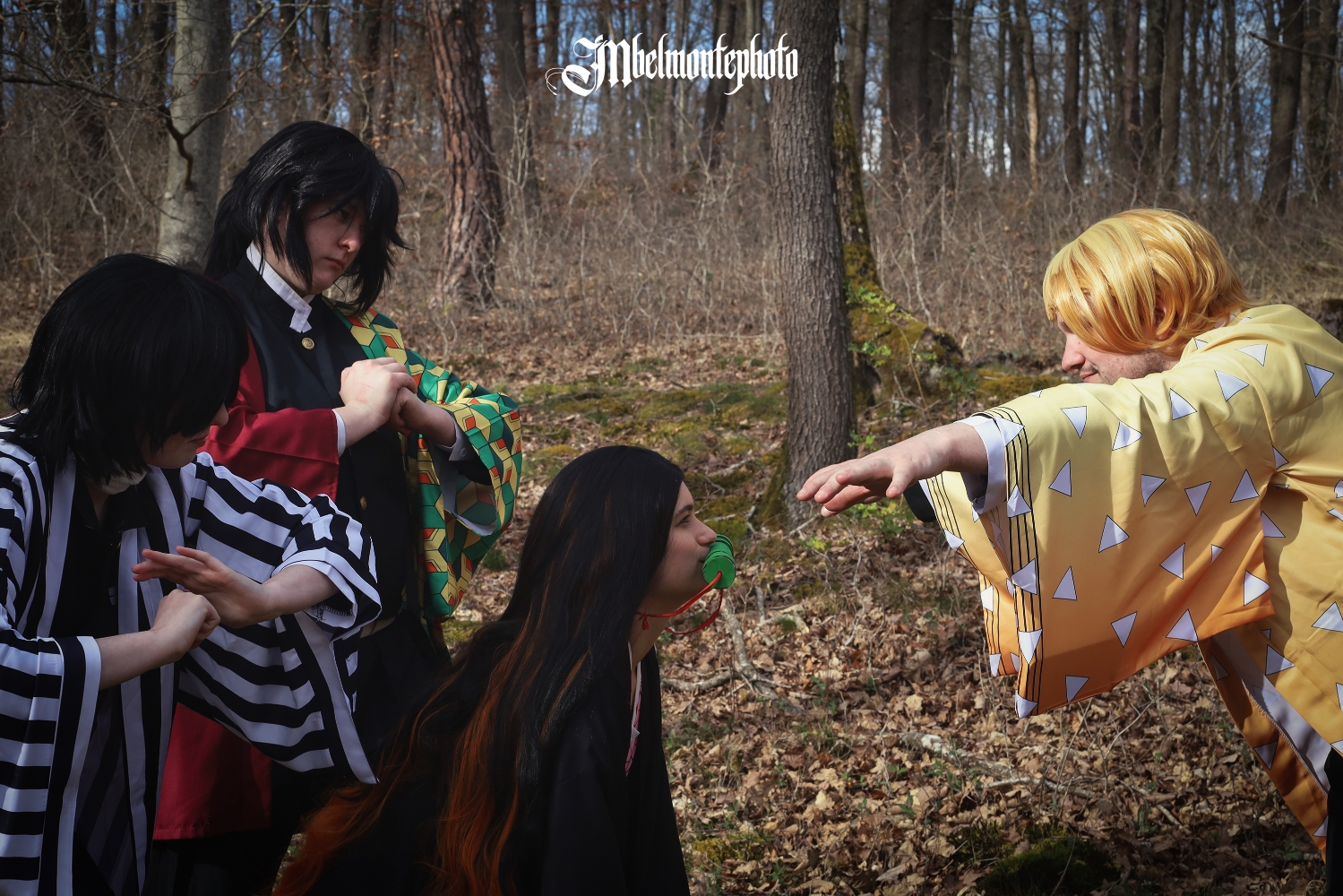 Demon slayer  - Photo 23