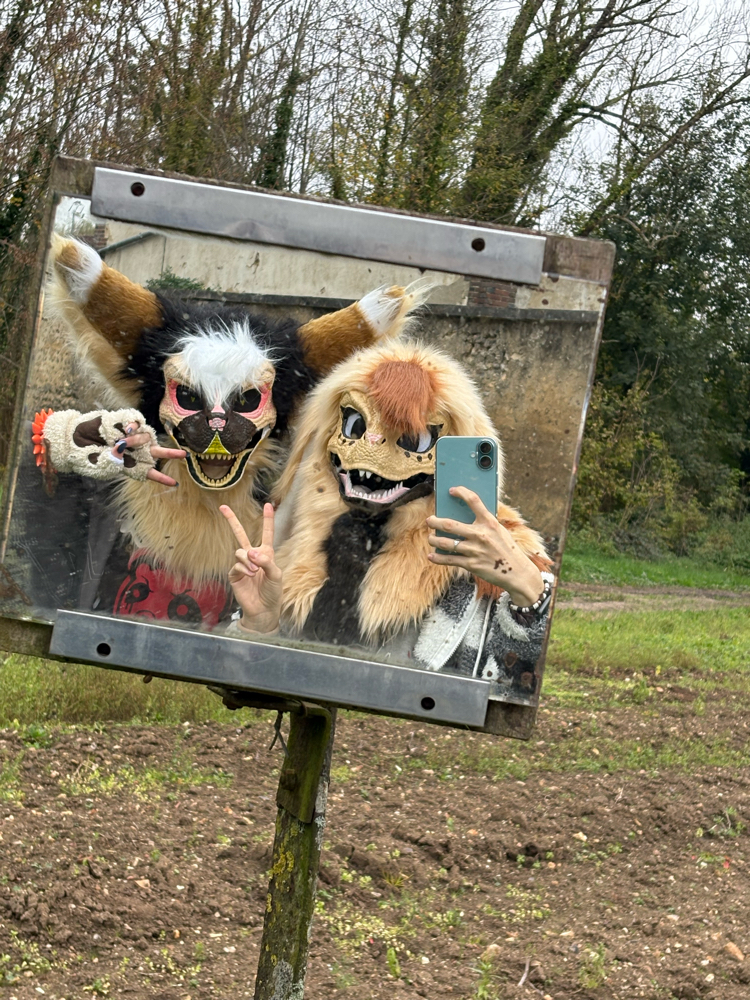 Photos Tapioca - Photo 28