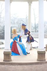 Link royal guard preview 3