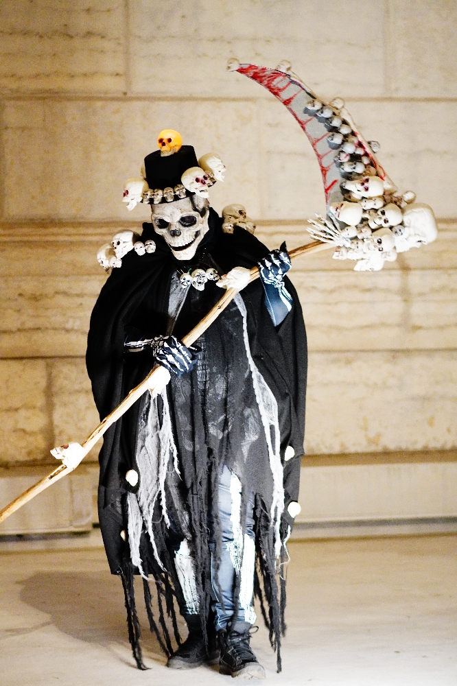 Grande faucheuse  - Photo 1