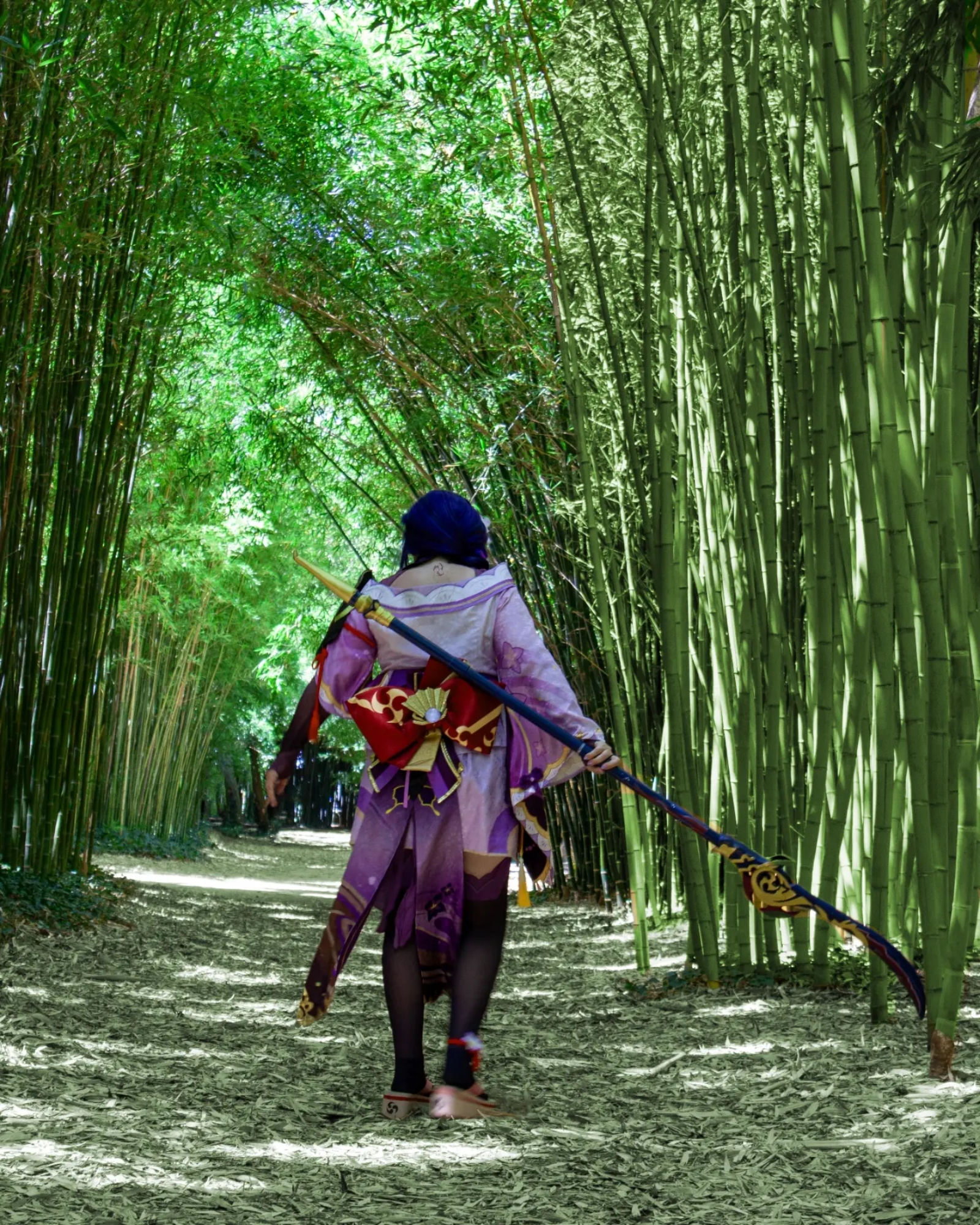 Raiden Shogun — photo 6
