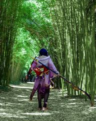 Raiden Shogun preview 2