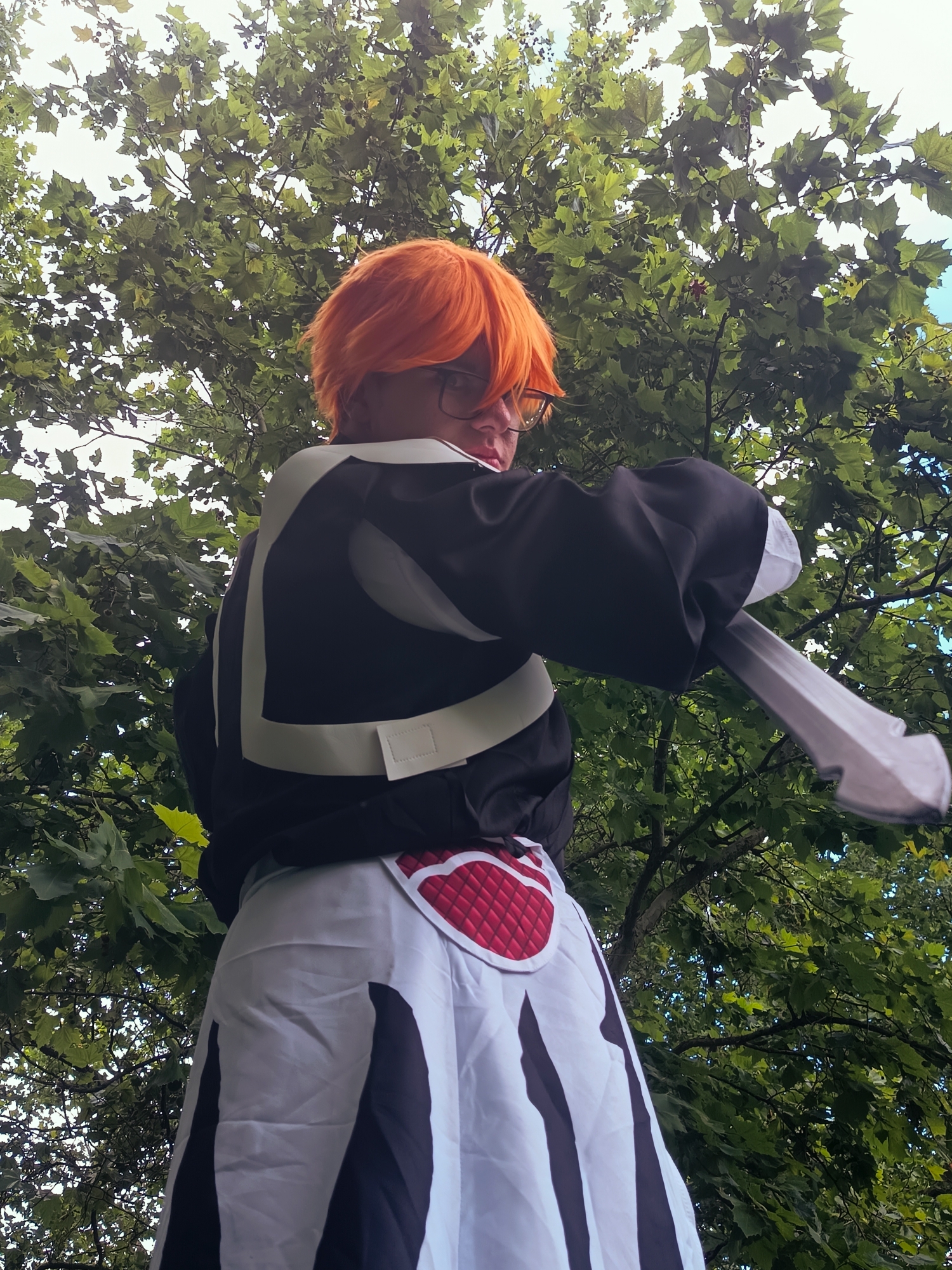 Ichigo — photo 16