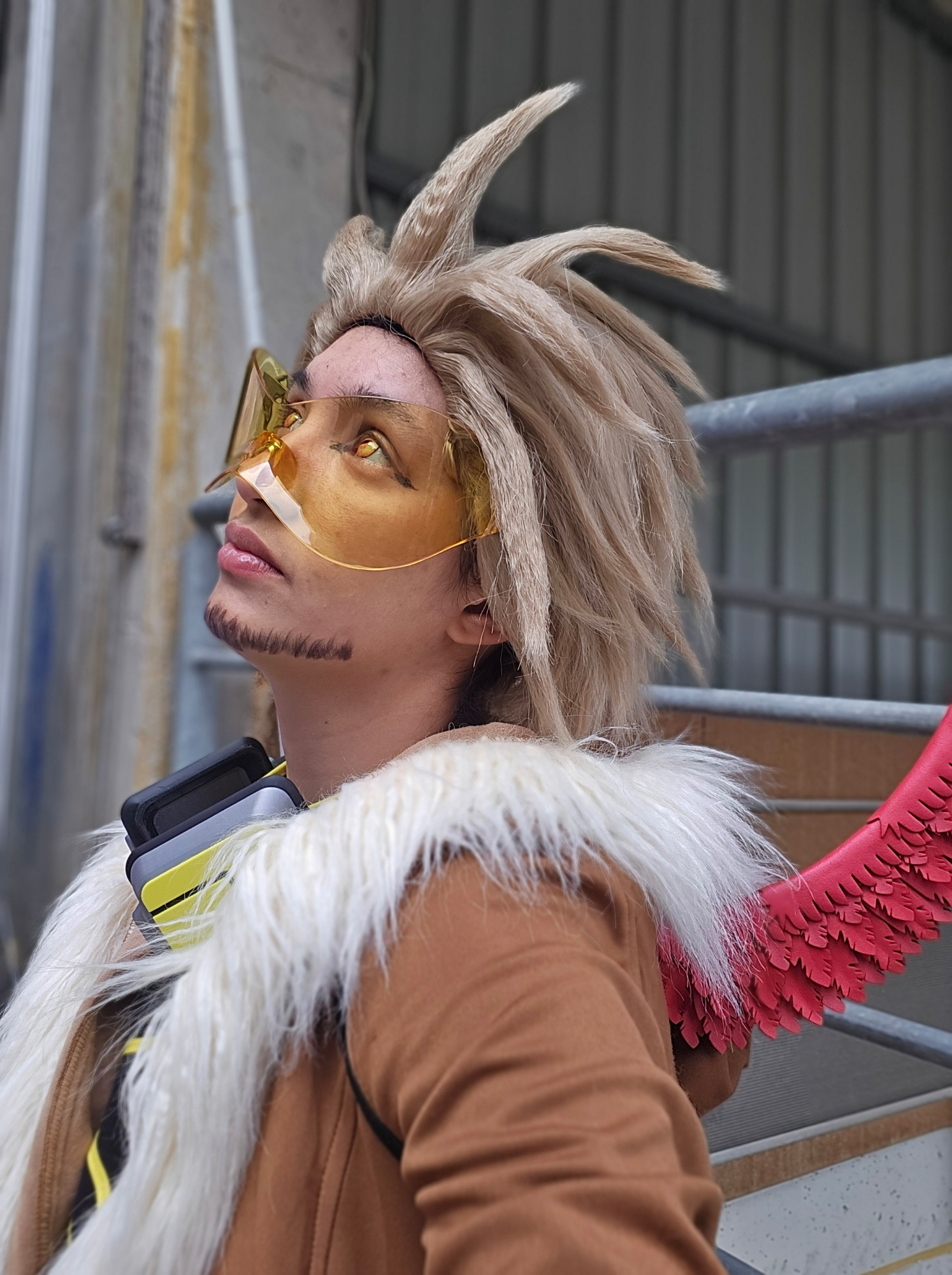 Hawks — photo 61
