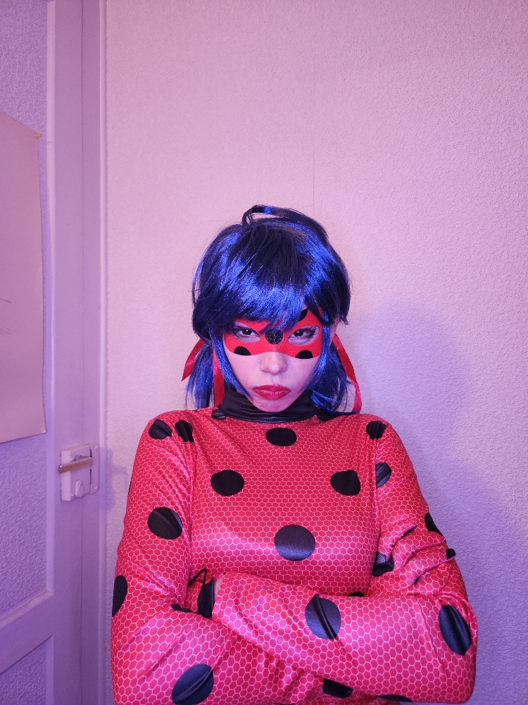 Ladybug - Photo 2