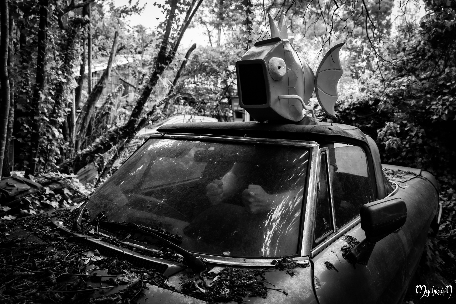 En voiture magicarpe - Photo 2