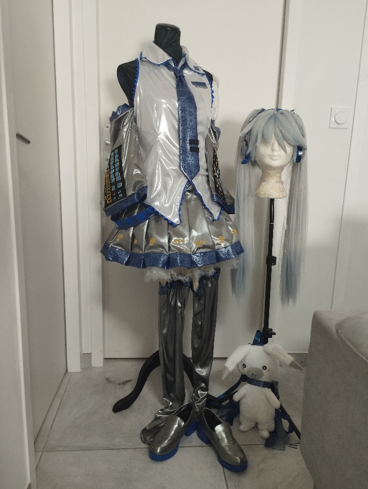Snow Miku — photo 6