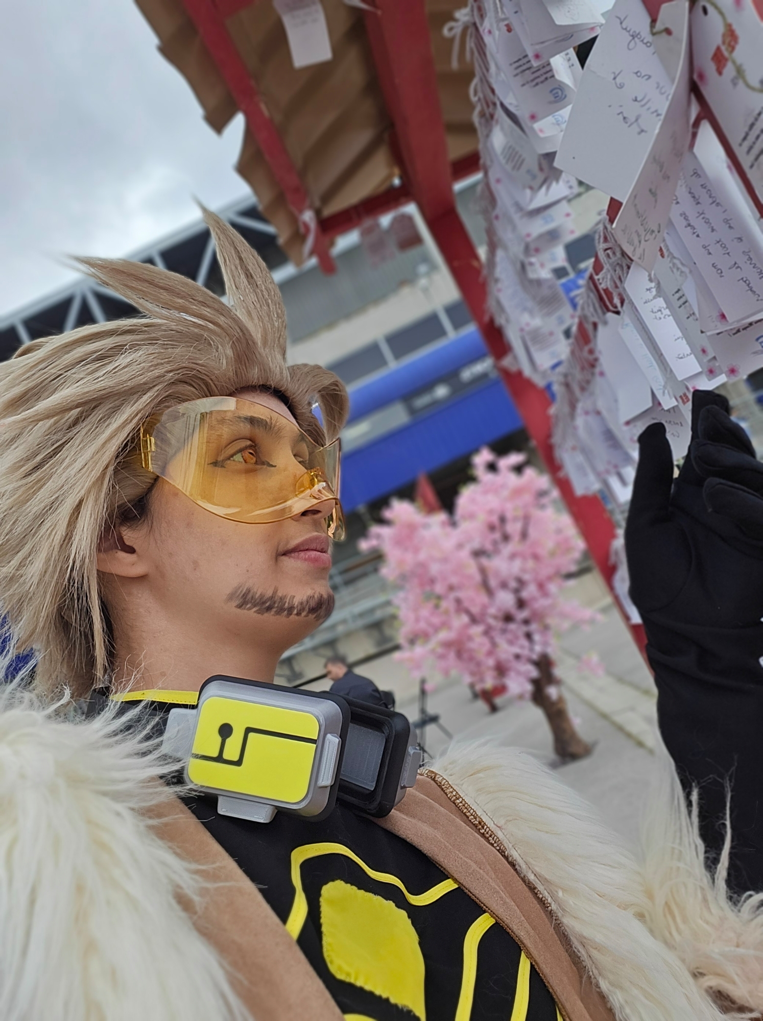 Hawks — photo 87
