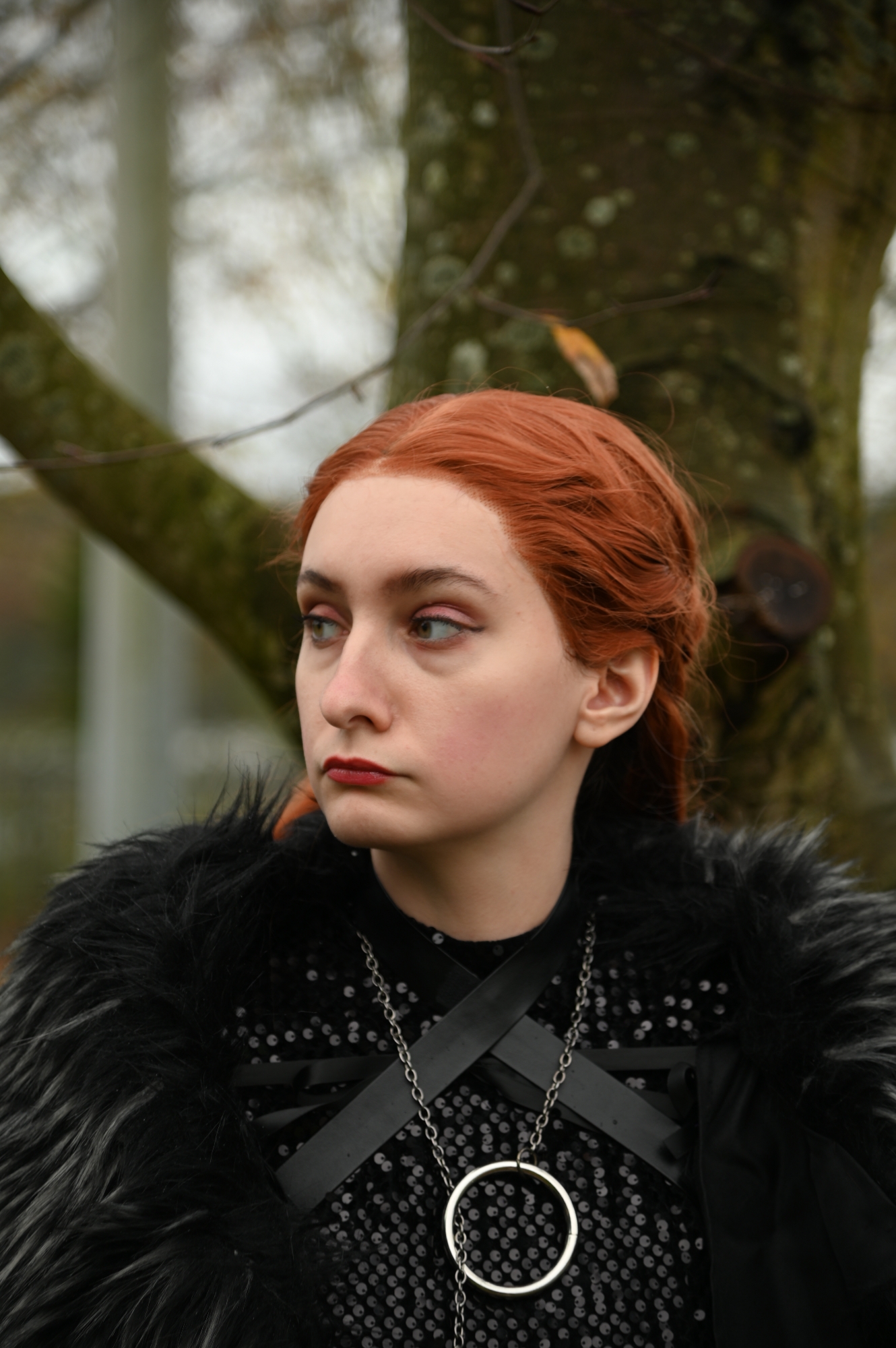 Sansa Stark — photo 18