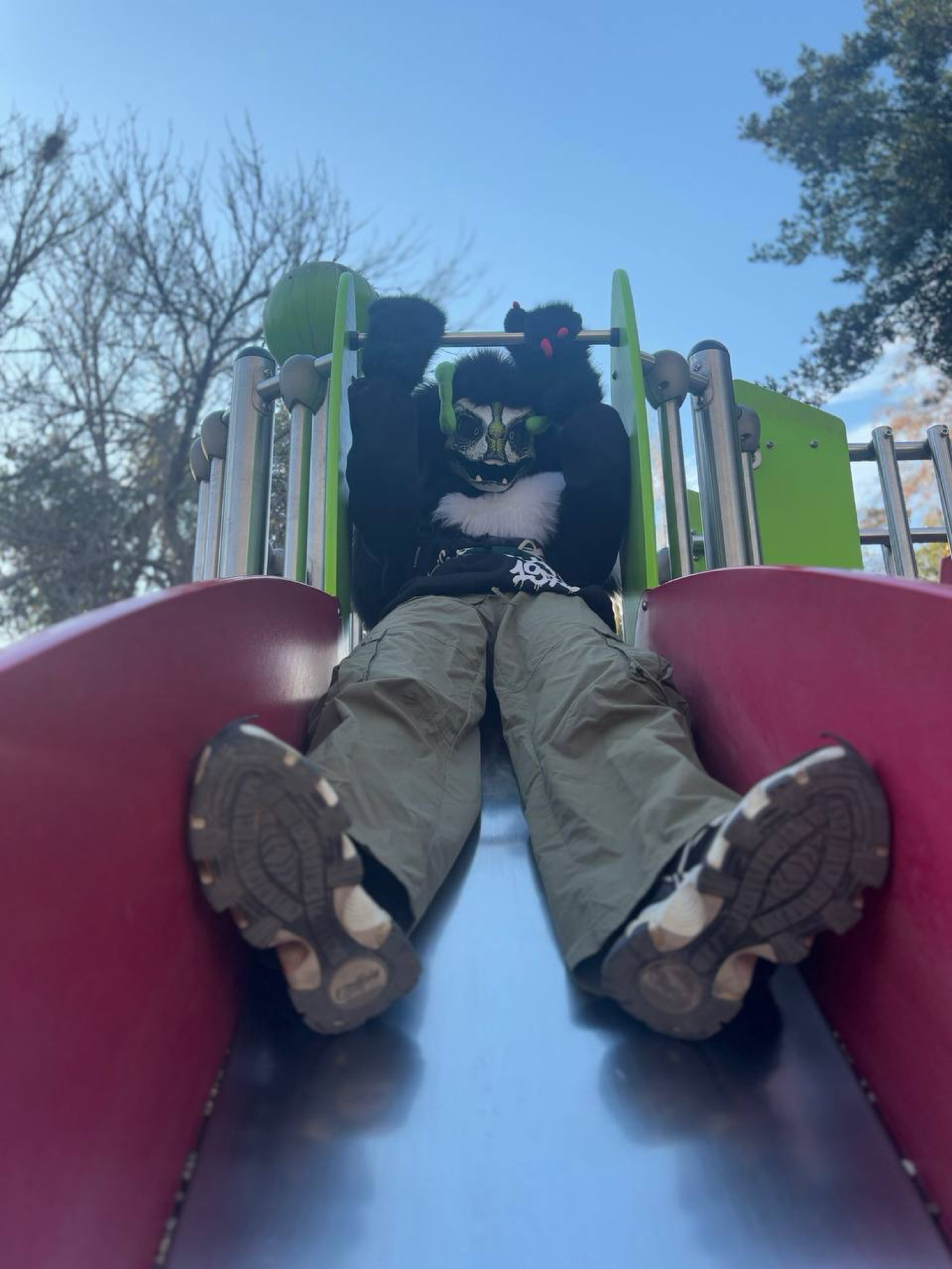 Toxi — photo 6