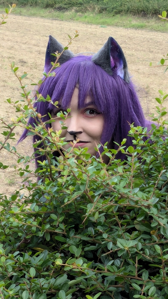 Cosplay placard - Photo 6