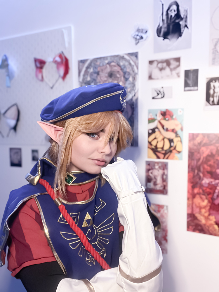 Link — photo 5