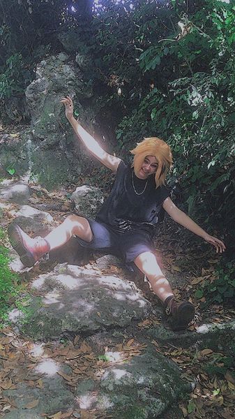 Willy_le_kiwi - Denki
