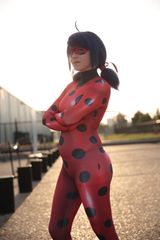 LadyBug preview 2
