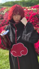 Sasori [Akatsuki] preview 3