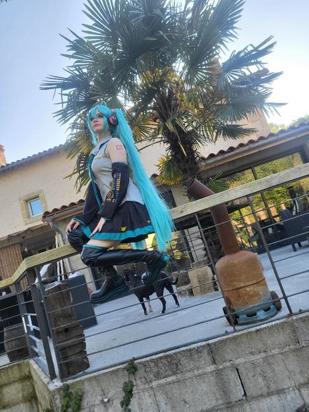 Mae__cosplay - Miku