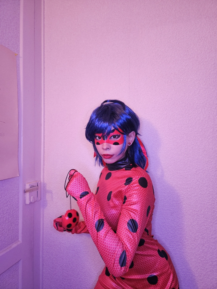 Ladybug - Photo 1