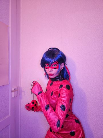 Ladybug