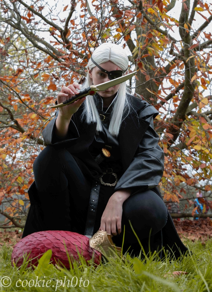 Aemond Targaryen - Photo 45