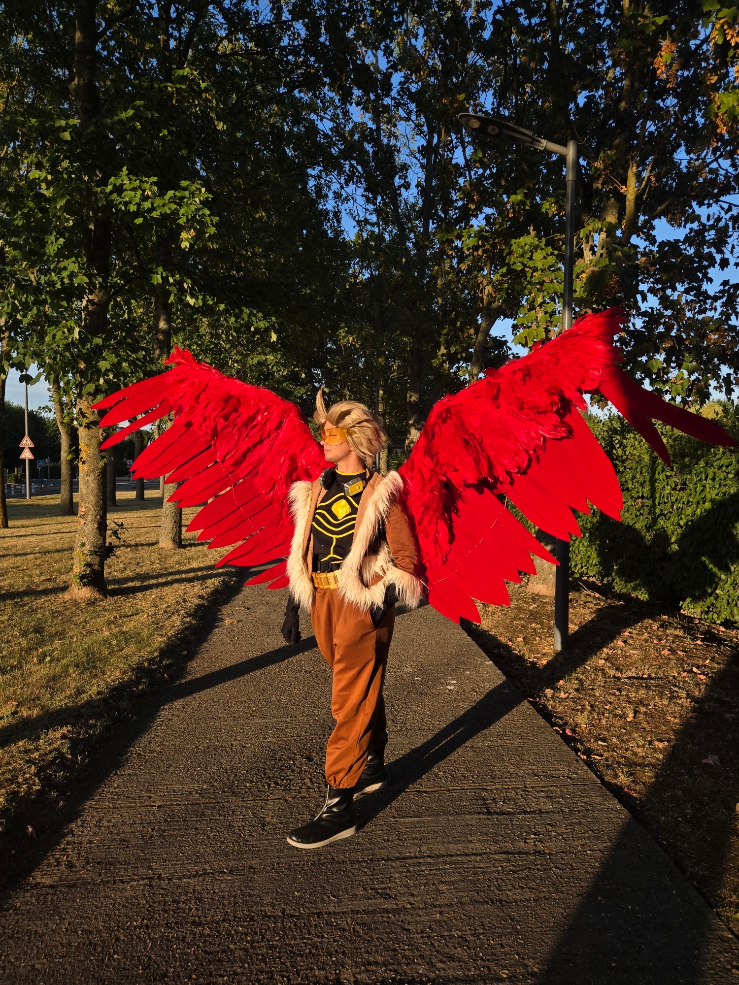 Hawks — photo 61
