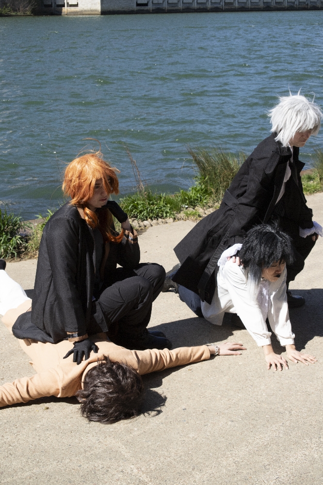 Bungo stray dogs — photo 12
