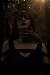 Silène preview 3
