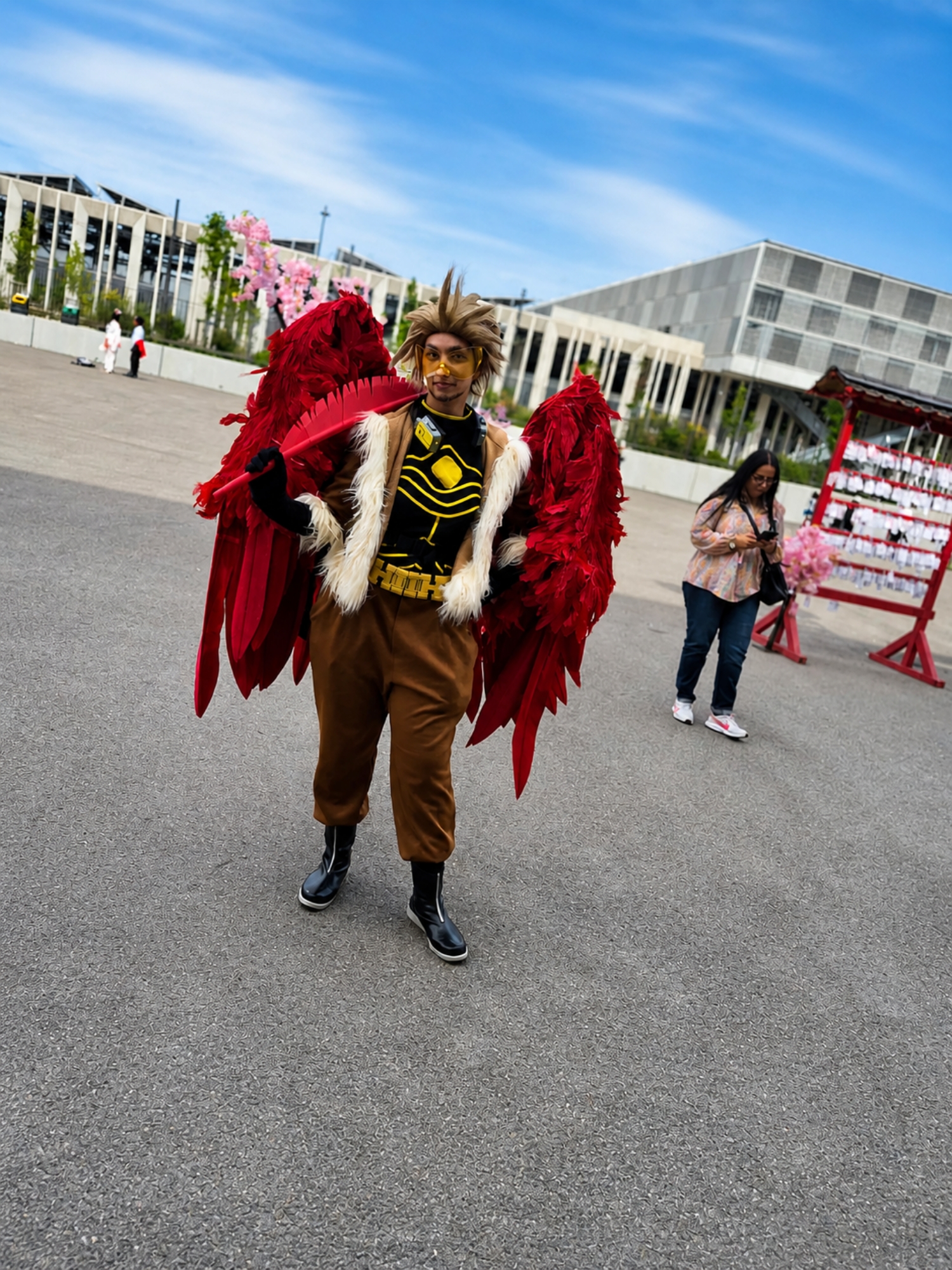 Hawks — photo 118