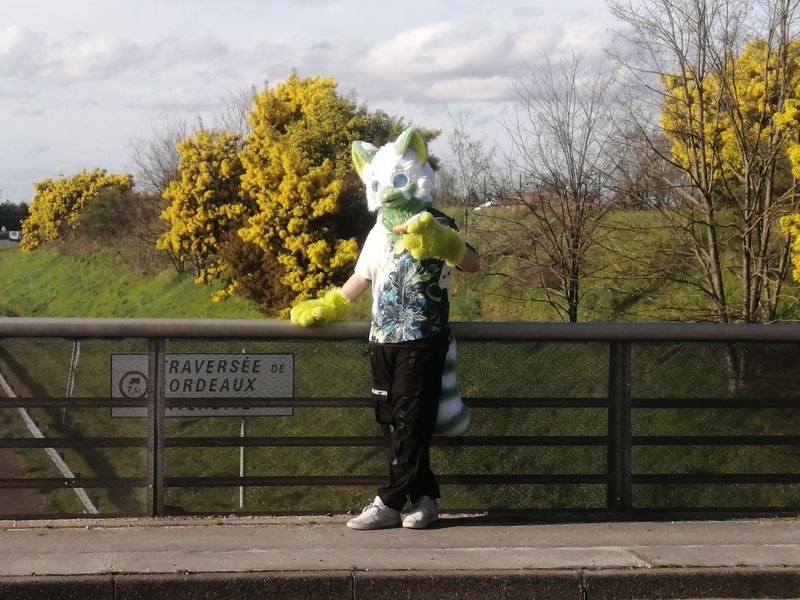 Wif_et_ses_fufu_ – Misaki in Bordeaux 