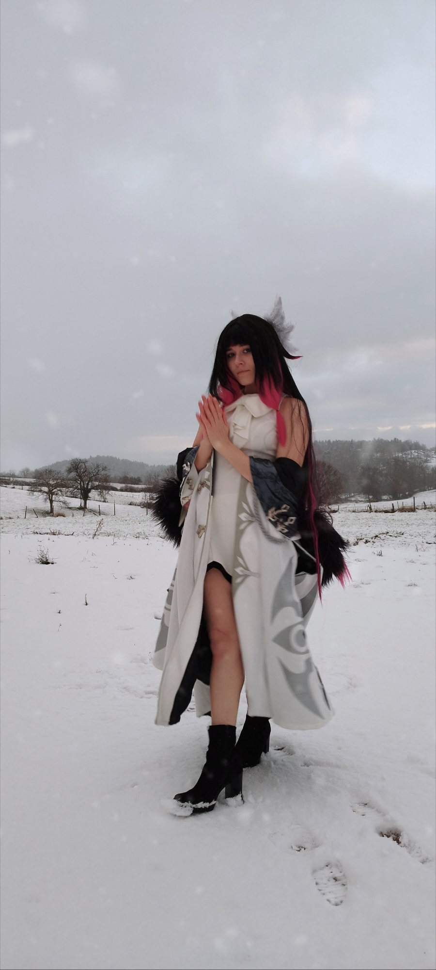 Columbina  - Photo 3