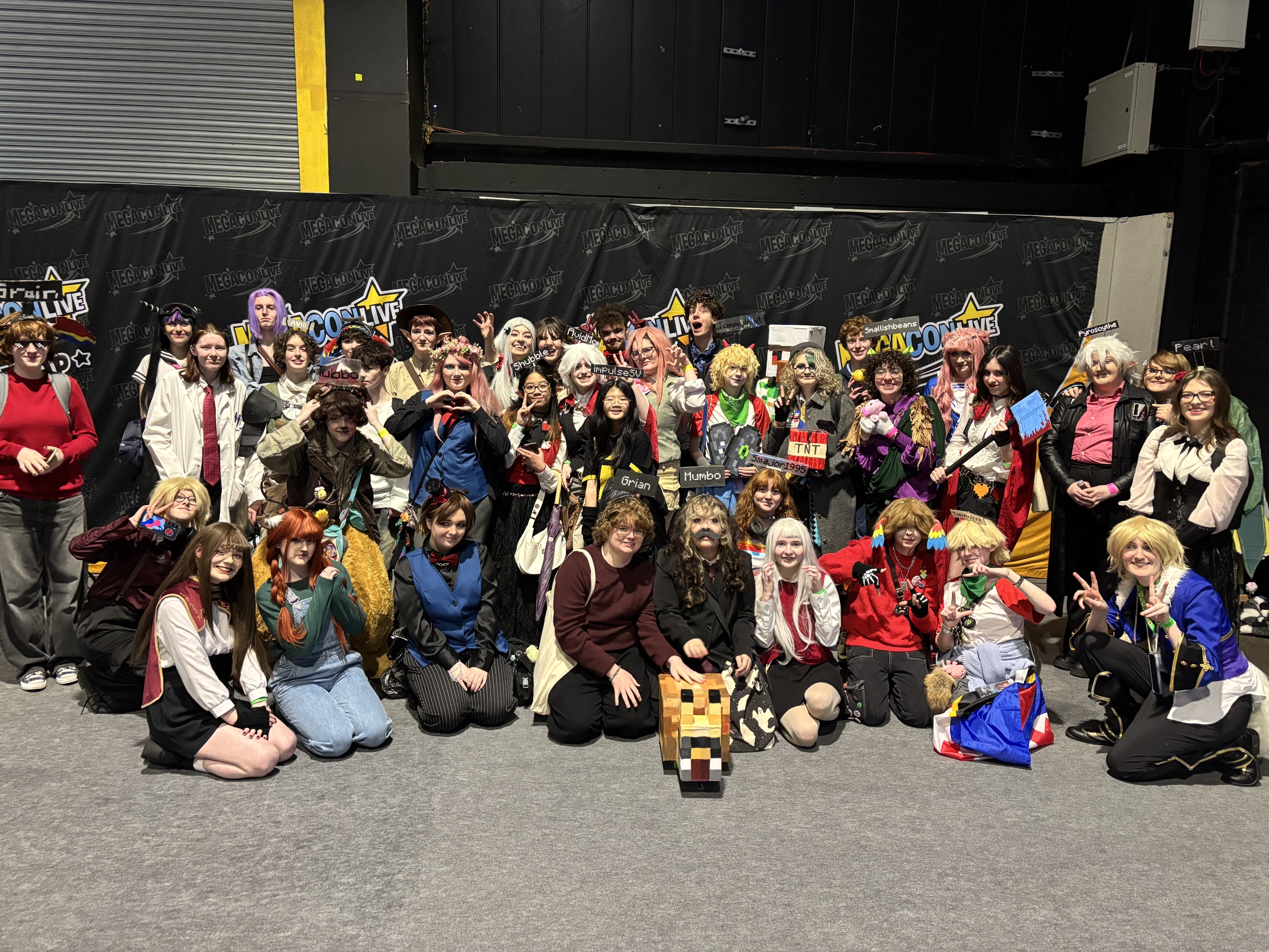 Dublin megacon '26 — photo 10