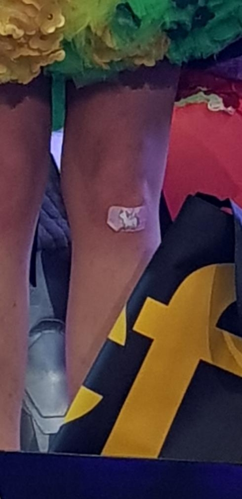 Pictapop 2024 - Photo 46