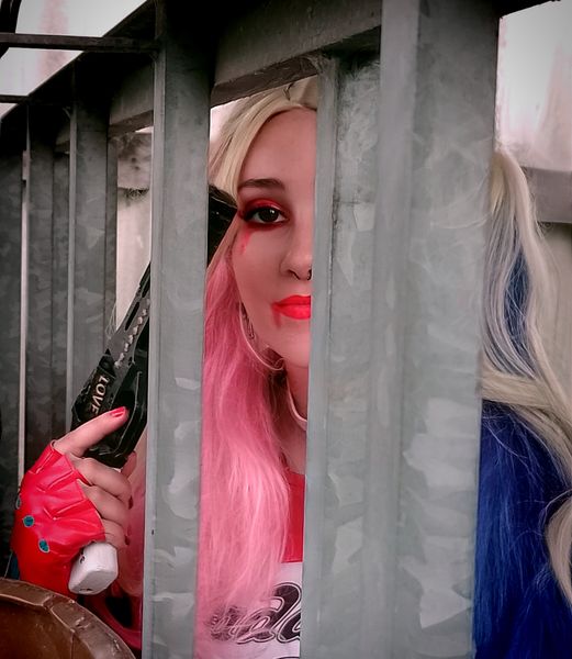 Gwen - Harley Quinn 