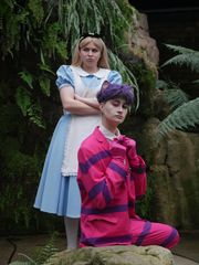 Alice & co preview 3