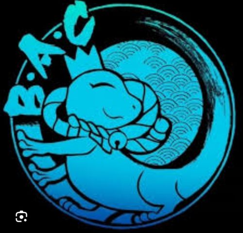 Bac stage 10e édition