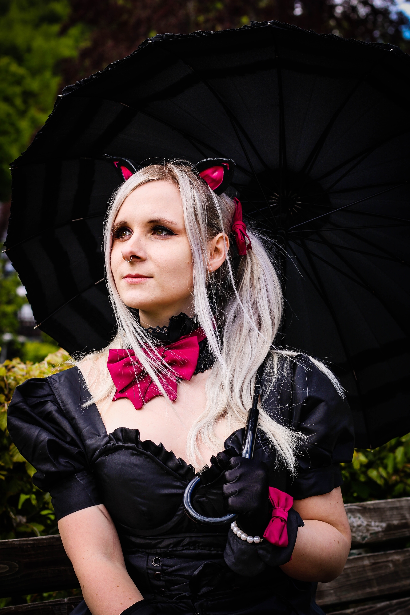 Black Cat DVA — photo 6