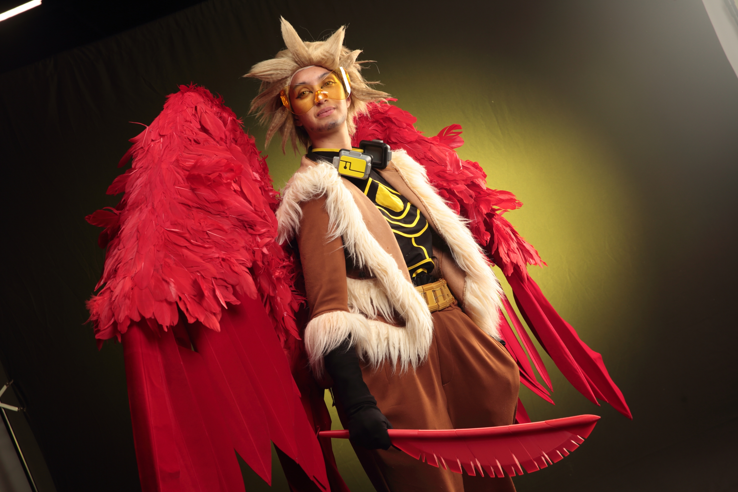 Hawks — photo 142