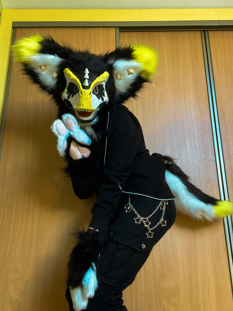 Photos Félix - Photo 5