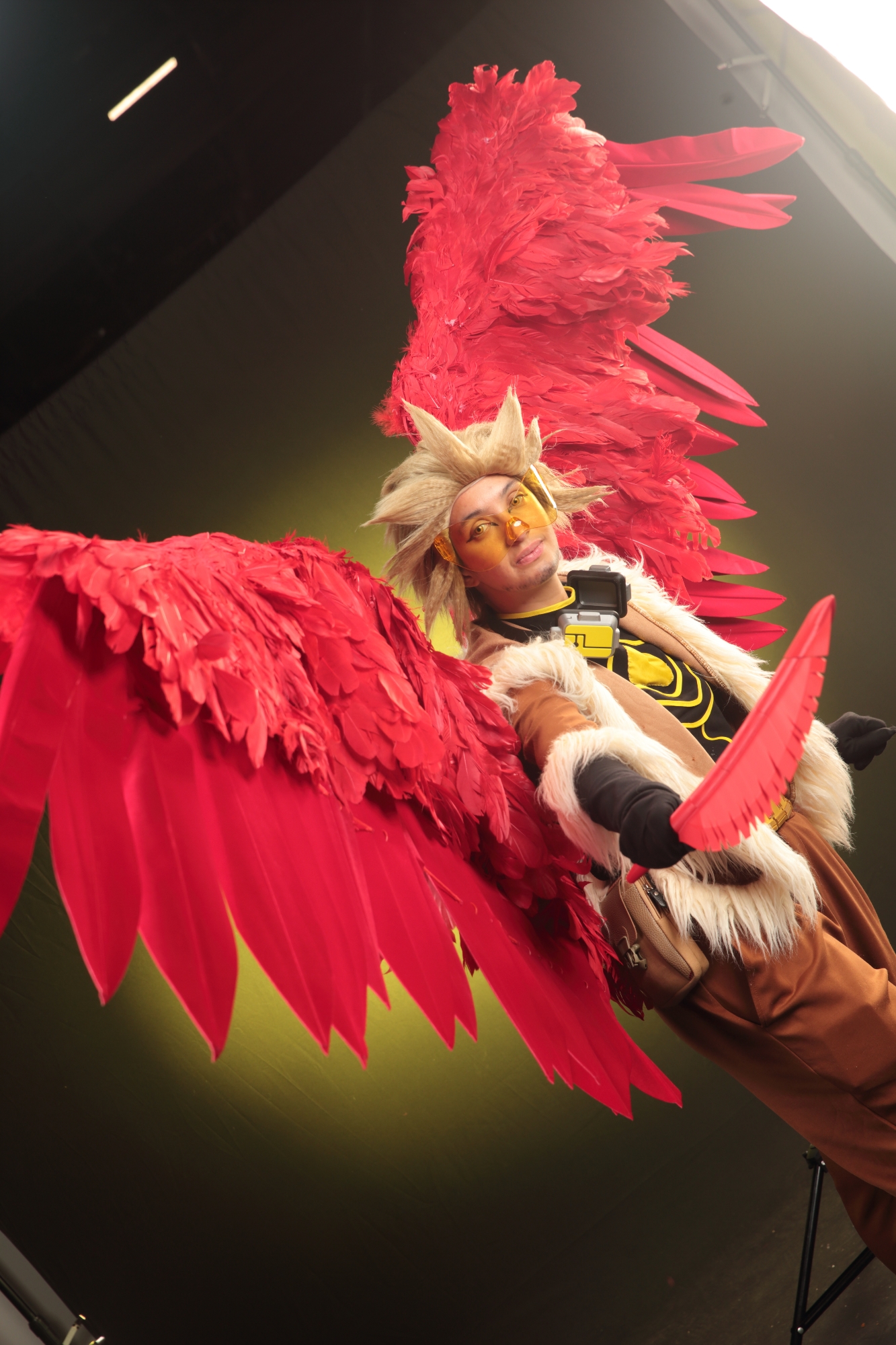 Hawks — photo 82
