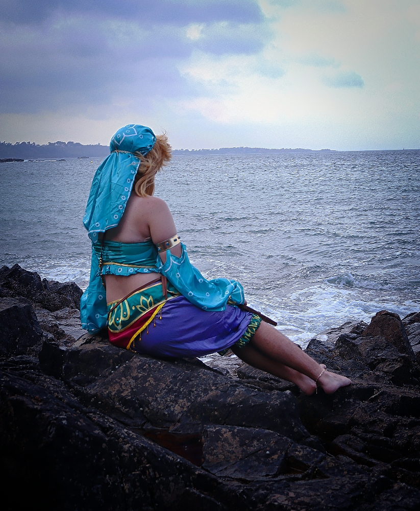 Link gerudo plage - Photo 2