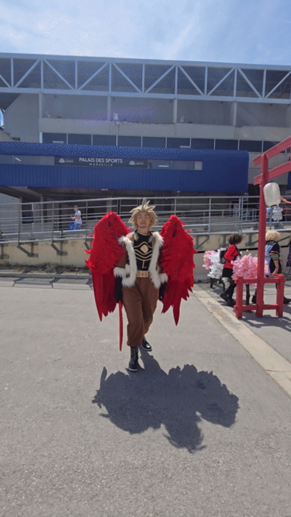 Hawks — photo 42